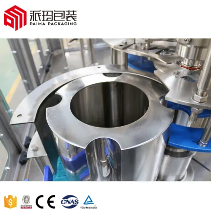 Automatic Pure Water Filling Machine - Monoblock Filling Solution
