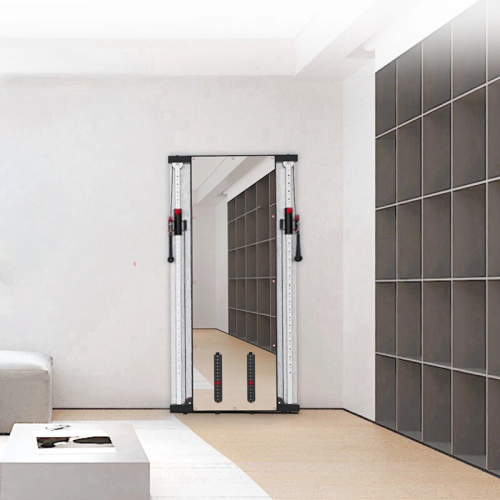 Bilateral Wall Mounted Functional Trainer White Mirror