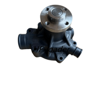 WP6 226B Wate Pump 13072498