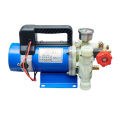 Pompe à piston agricole portable haute puissance 12 V