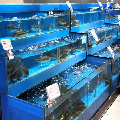 Live Lobster Farming Tank for Restaurants and Seafood Shops