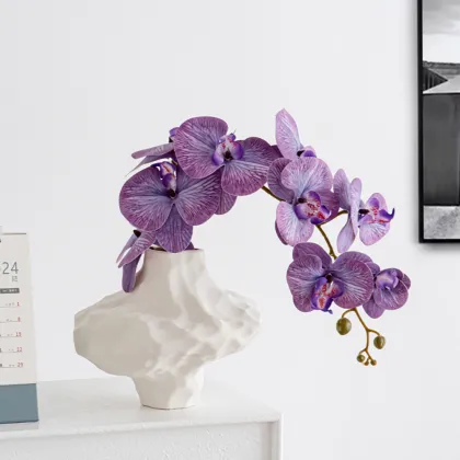 Nordic Ceramic Vase for Hydroponics and Home Decor