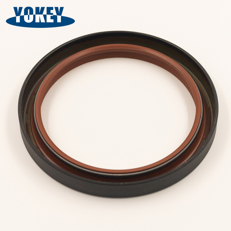 Various shapes TC VB VC professional sealing products seal inside oil and resist outside dust Oil Seal