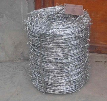 hot dipped galvanized barbed wire