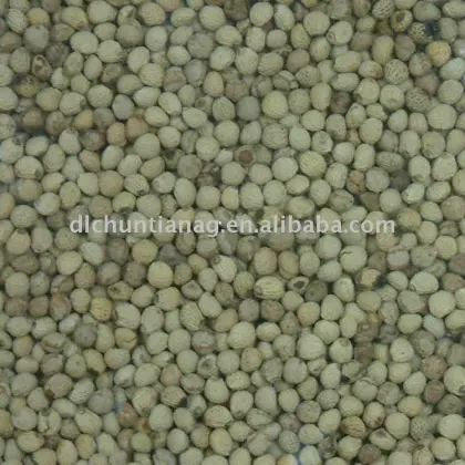 Organic Perilla Seeds