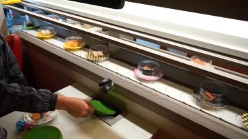 Intelligent Settlement plate Recycling System