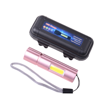 Rechargeable LED Pocket Torch Light for Dentists and Nurses