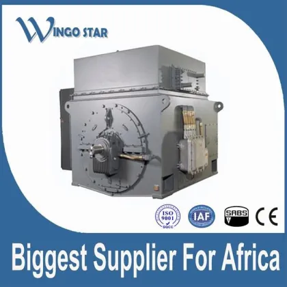 AC general high voltage Electric Motor With Cover