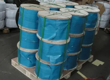 Steel Wire Rope 6X19 Iwrc with Packed Pallet
