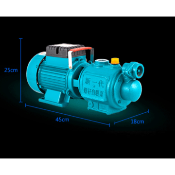 pompe de booster à vis ménagère