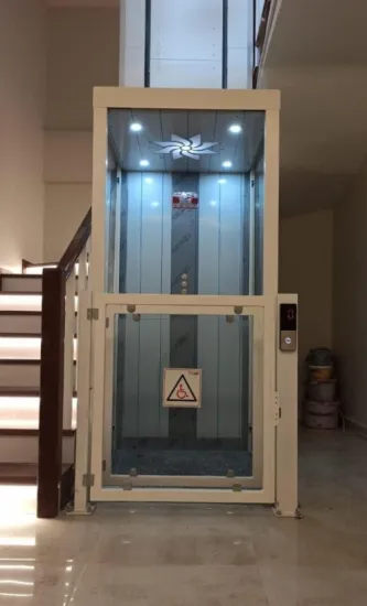 Vertical Home Lift Home Elevator Price