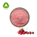 Acerola Cherry Extract Pulver Vitamin C wasserlöslich