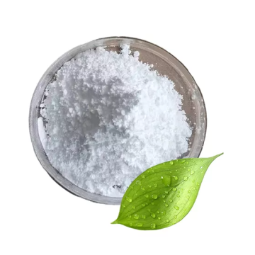 Unflavored Fresh Collagen Powder