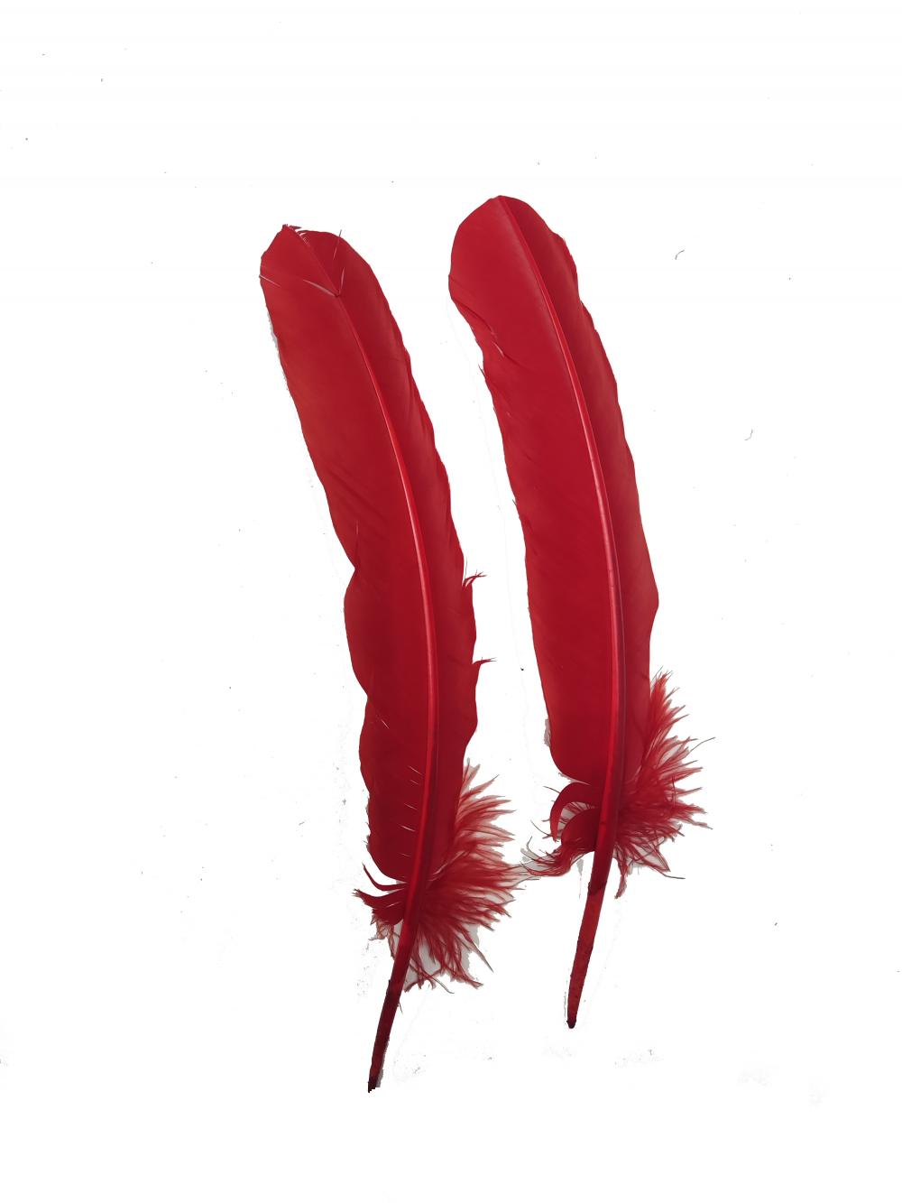 Red Feather can make clothing