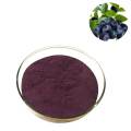 European Bilberry Extract Whortleberry Anthocyanidins