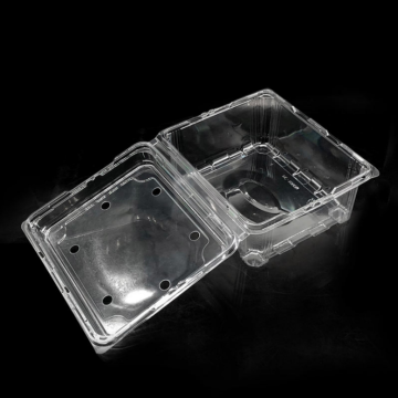 Transparent PET Fruit Vegetable Packaging Boxes