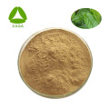 Pure Natural Mulberry Leaf Extract Powder