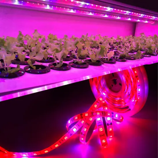 5V USB Full Spectrum Plant Growth Light Strip with Switch