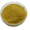 Best function cnidium monnieri extract powder fructus cnidii