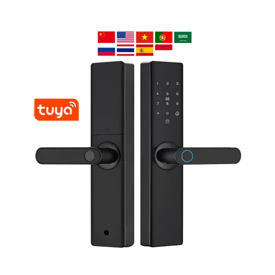 Fingerprint Rfid Card Wifi Unlock Apartment Door Lock