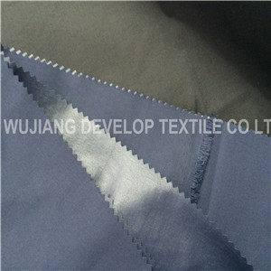 320d Nylon Taslon Coated Fabric (DN2079)