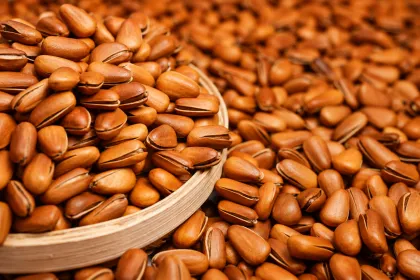 Fried Pine Nuts Snacks