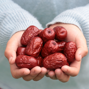 Dried Red Date Chinese Date