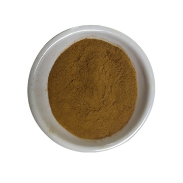 Fornitura di magazzino USA Estratto di polvere di Estratto di Pygeum Estrazione di Pygeum Africanum con il miglior prezzo