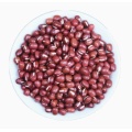 Estratto di fagioli per reni rosso naturale puro in polvere