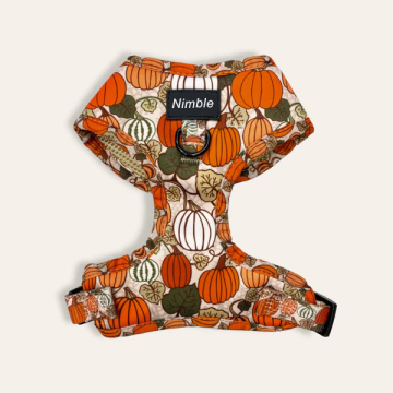 Hochwertiger maßgeschneiderter Neopren-Nylonhundkabelbaum, Leine und Kragen mit Poo-Bag-Halter