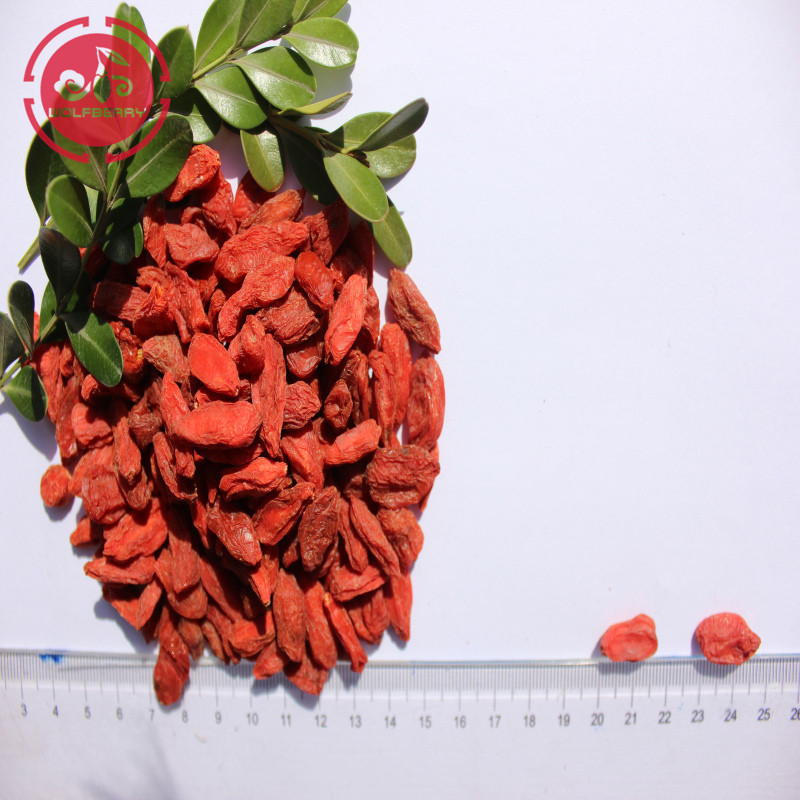 Wolfberry / Lycium Barbarum / New Harvest bagas de goji