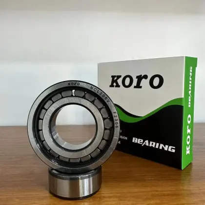 China Manufacturer of Cylindrical Roller Bearings: BC1-0313