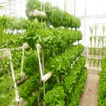 Round NFT Hydroponic Tower Growing Systems For Vegetable