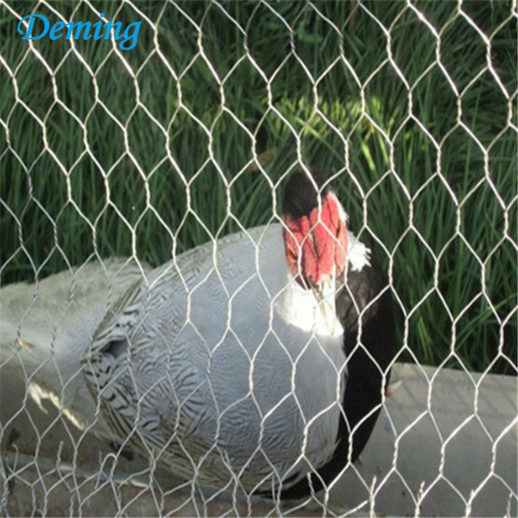 galvanized wire mesh chicken coop poultry fencing