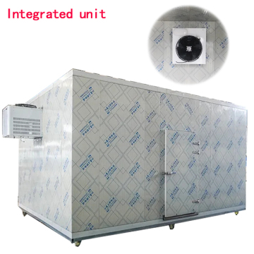 20ft Mobile Container Freezer: Cold Storage for Fish, Vegetables, Fruits, and Ice Cream