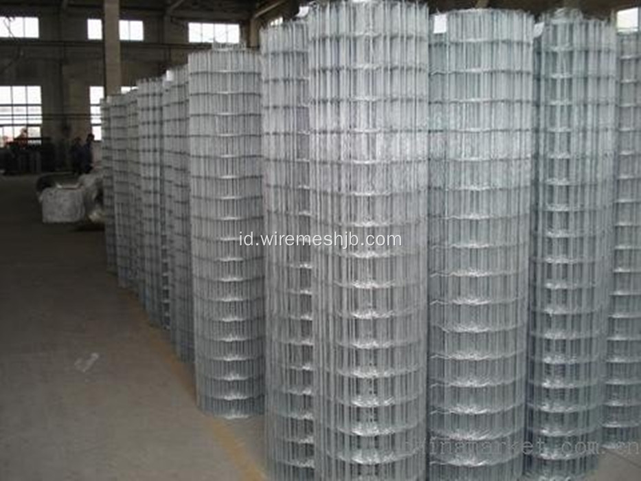 Galvanis Dilas Wire Mesh Dalam Gulungan