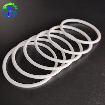 PTFE O-ring and PTFE Ring for Diaphragm Pump Shaft Seal - Hydromechanical Seal