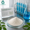 Ingrediente probiótico Lactobacillus Gasseri