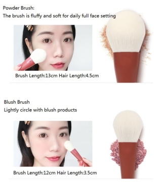 Mini Professional Makeup Brush Kit