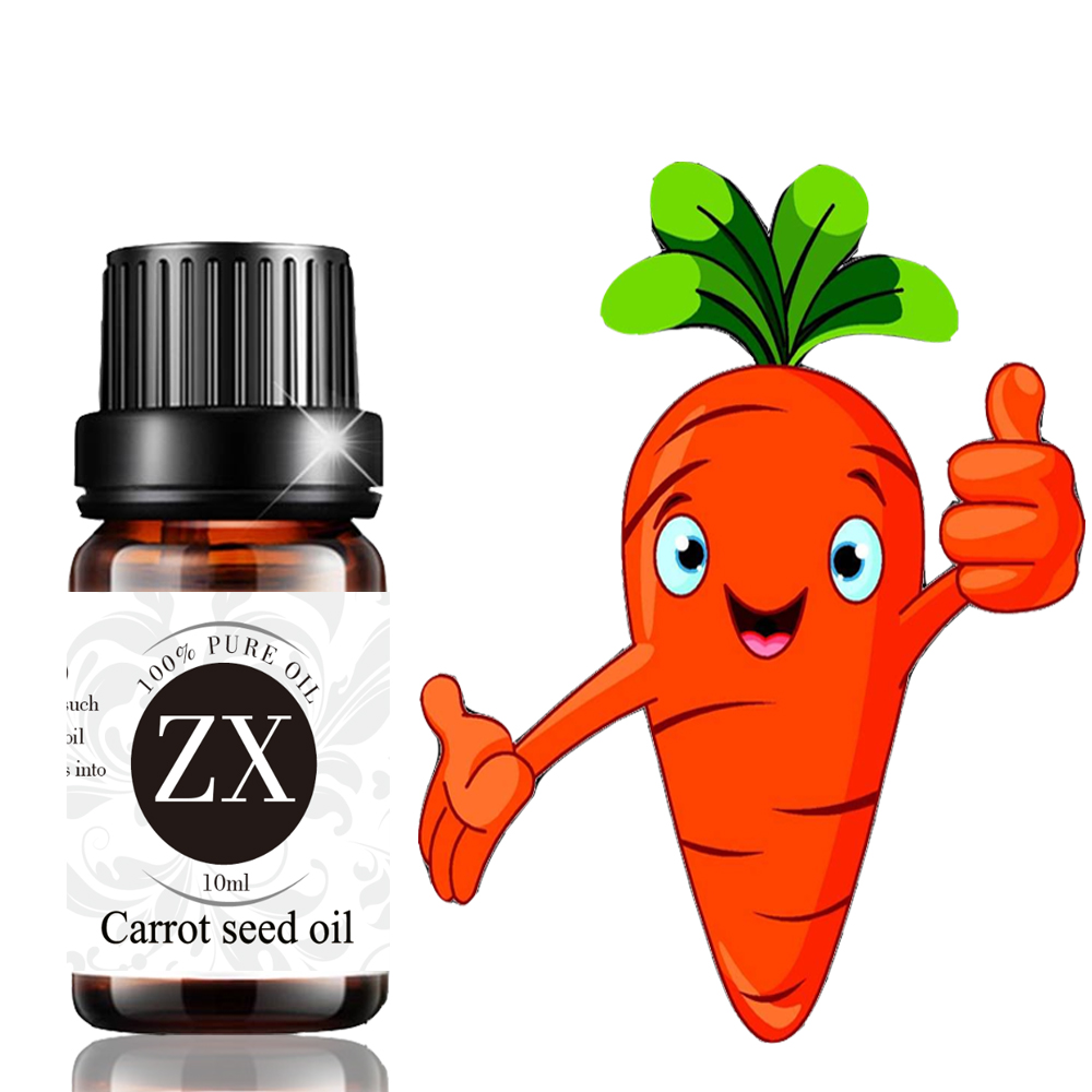 Wholesale organic carrot seed oil for cosmetic use