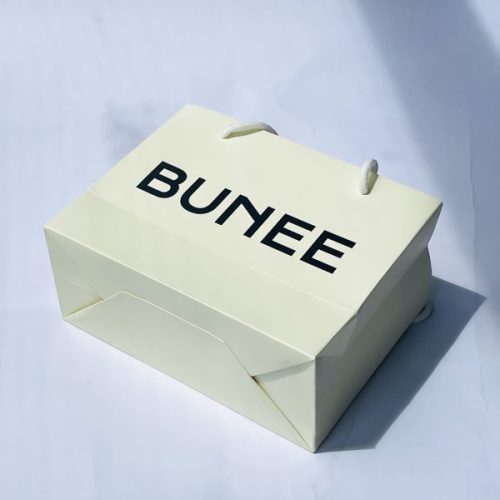 Shopping Paper Bags with Custom Logo and Ribbon