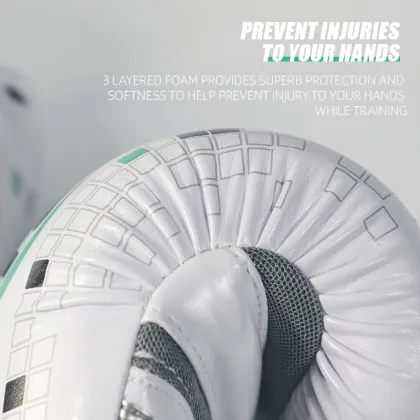 BN Boxing Gloves Training Mitts Tetris