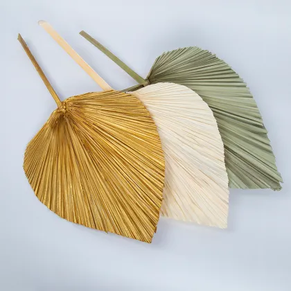 2022 Popular Tropical Dried Palm Leaves for Wedding Decorations