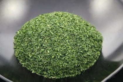 Health Fitness Mulberry Leaf Green Tea