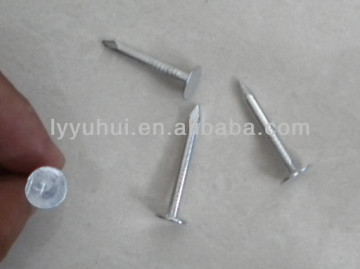 factory price big head nail