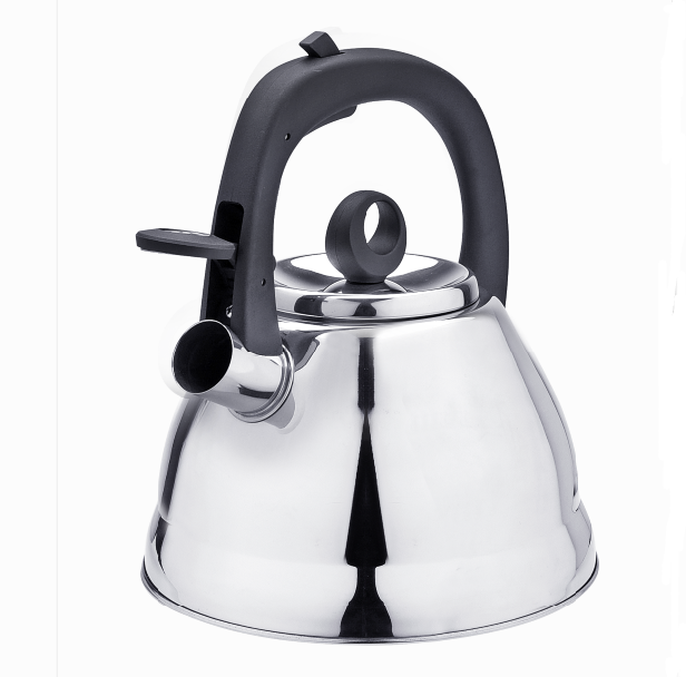 New Induction Kettles Stainless Steel