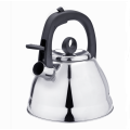 Stainless steel induction stovetop tea kettle new