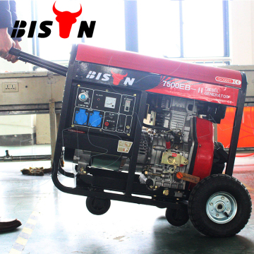 Bison Made in China High Efficiency 5.5KW Diesel Generator with Copper Wire Motor