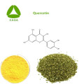 Ingredientes naturales Extracto de Sophora Japonica Quercetina 98%