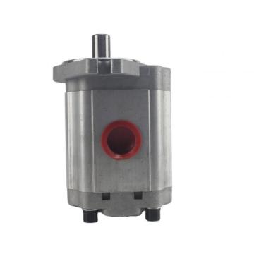 CBF High Efficiency Hydraulic Oil micro Gear Pump